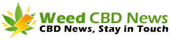 Weed CBD News